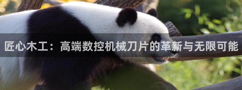 天辰娱乐棋牌:匠心木工:高端数控机械刀片的革新与无限可能