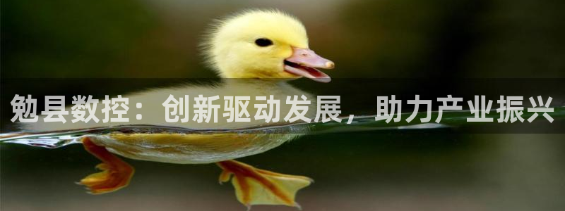 天辰娱乐44616:勉县数控:创新驱动发展,助力产业振兴