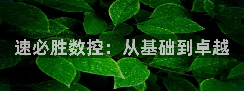 天辰娱乐指定:速必胜数控:从基础到卓越