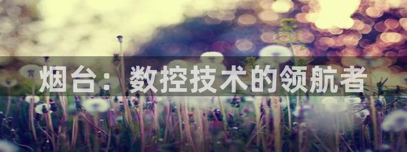天辰娱乐小姐:烟台:数控技术的领航者