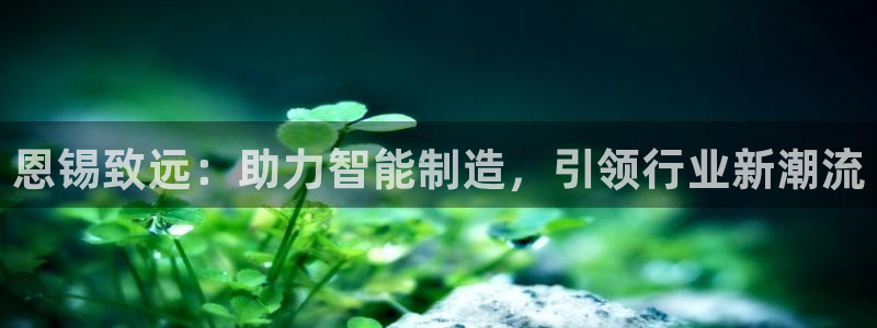 天辰娱乐 主管:恩锡致远:助力智能制造,引领行业新潮流
