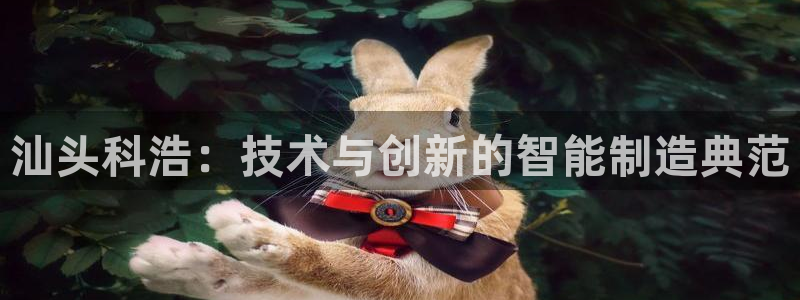 天辰娱乐75775:汕头科浩:技术与创新的智能制造典范