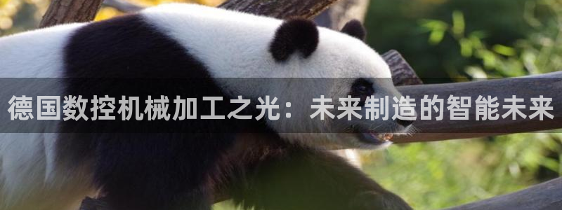 天辰娱乐股票:德国数控机械加工之光:未来制造的智能未来