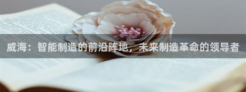天辰线上娱乐:威海:智能制造的前沿阵地,未来制造革命的领导者