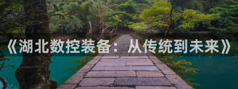 徐州天辰娱乐:《湖北数控装备:从传统到未来》