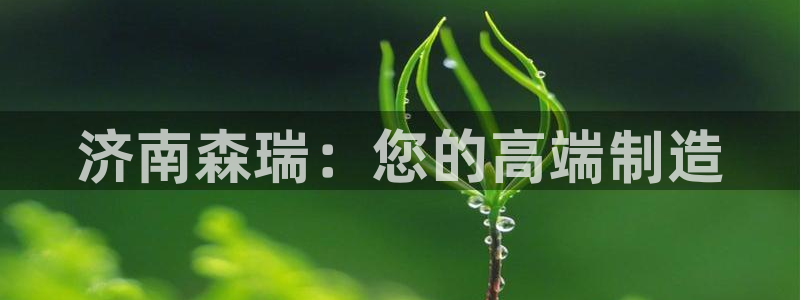 天辰娱乐平台安全吗:济南森瑞:您的高端制造